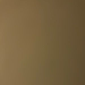 Meet your Posher, Rayna